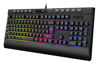 GameNote KB487L Kablolu RGB Gaming Klavye Siyah resmi