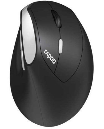 RAPOO EV250 1300DPI Ergonomik Siyah Kablosuz Mouse 13531 resmi